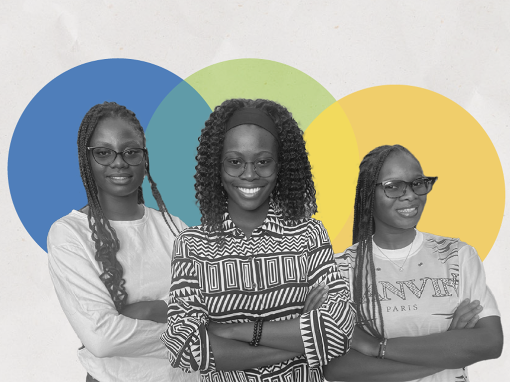Unipod Mali: Student and Faculty Survey